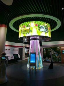 Special Round Style LED Display