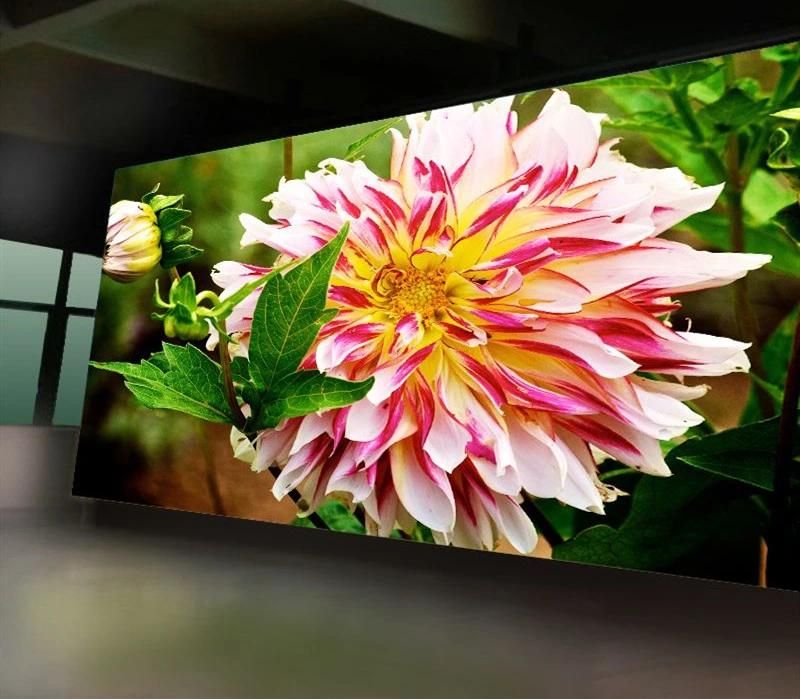 Outdoor P10 Full Color Video LED Display for Advertising Screen