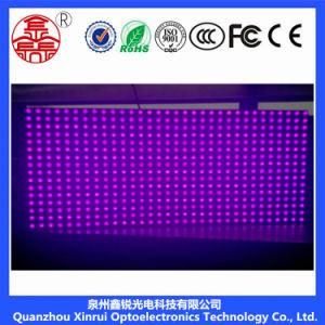 P10 Outdoor Single-Purple LED Module