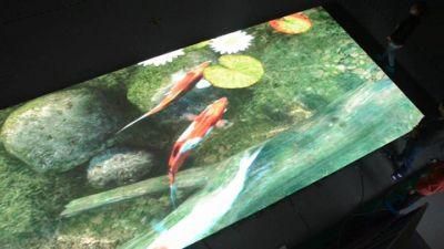 Advertising Digital Portable SMD Indoor P6.2 LED Screen Dance Floor (FI6.2)