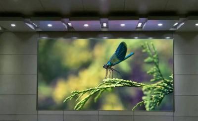 P1.667 Indoor Full Color UHD LED Display Screen Panel LED for Advertising