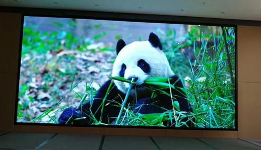 Indoor High Refresh Rate P2 LED Display Screen