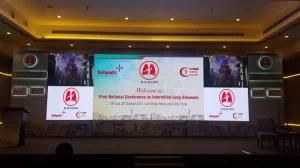 HD P3.91 Indoor Advertising LED Light Display