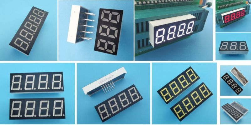 4 Inch 7 Segment Display with 8 LEDs Per Seg with RoHS From Expert Manufacturer