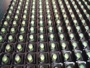 P10 Outdoor Green LED Module Message Board