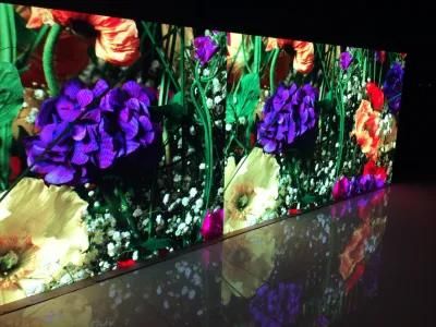 Ckgled Indoor Full Color Advertising LED Display Panel Screen