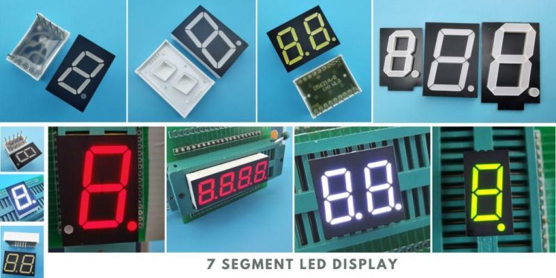 0.6 Inch Single Digit 7 Segment LED Display with RoHS From Expert Manufacturer