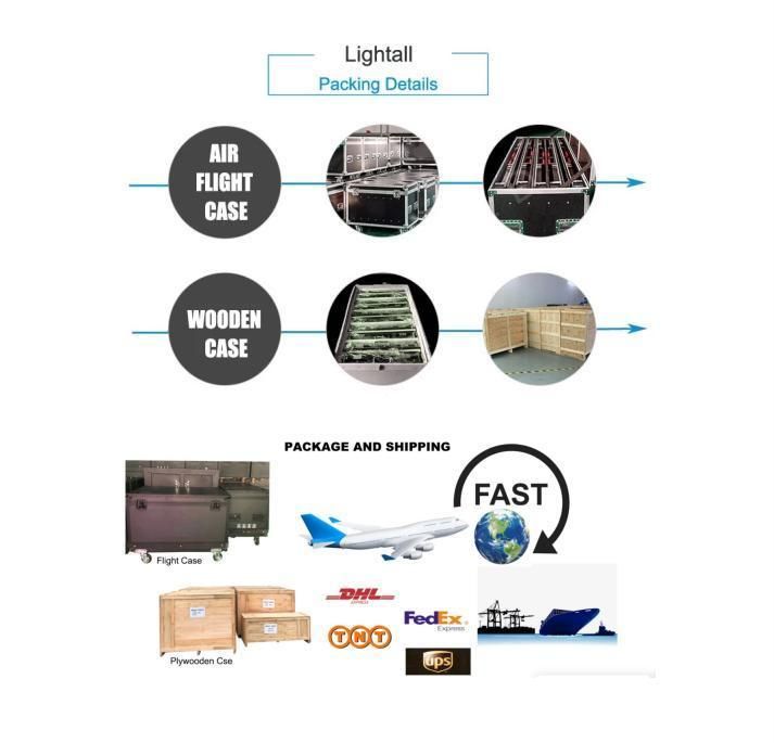 CE Approved 65536 Dots/Sqm Fws Cardboard, Wooden Carton, Flight Case LED Display Screen