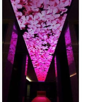 P5 Indoor Ceiling LED Display for Advertising