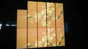 Indoor Full Color Video Display for Evening Party