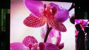 P10 Indoor Full Color LED Display Panel