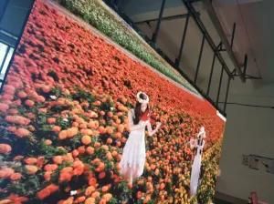 P3.91 Indoor Rental LED Video Wall for Meeting Room