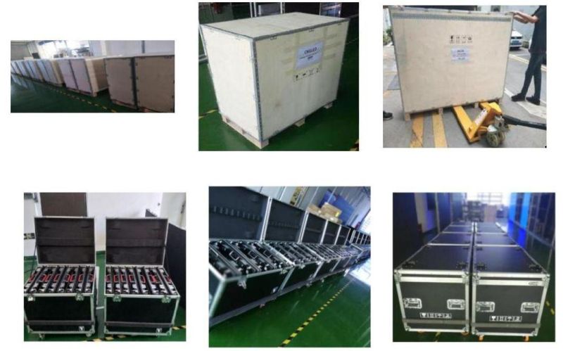 Transparent LED Display (LED Screen) P3.9-P7.8mm with High Brightness