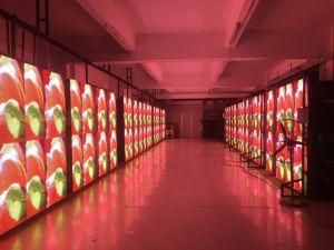 Large Indoor LED Screen Display