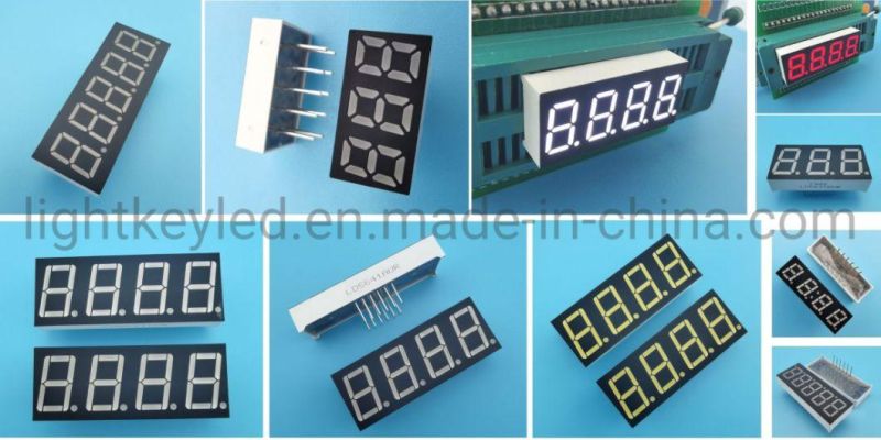 1 Inch 1 Digit Numeric LED Digital Display with Rt. Dp