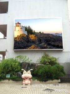 Exhibicion Llevada Al Aire Libre PARA La Publicidad Screen LED Display