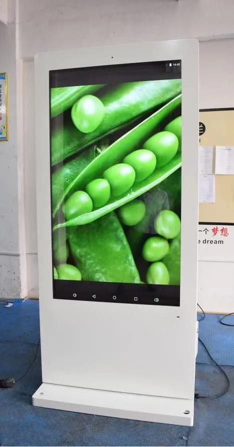 65 Inch Outdoor IP65 LCD Advertising Screen