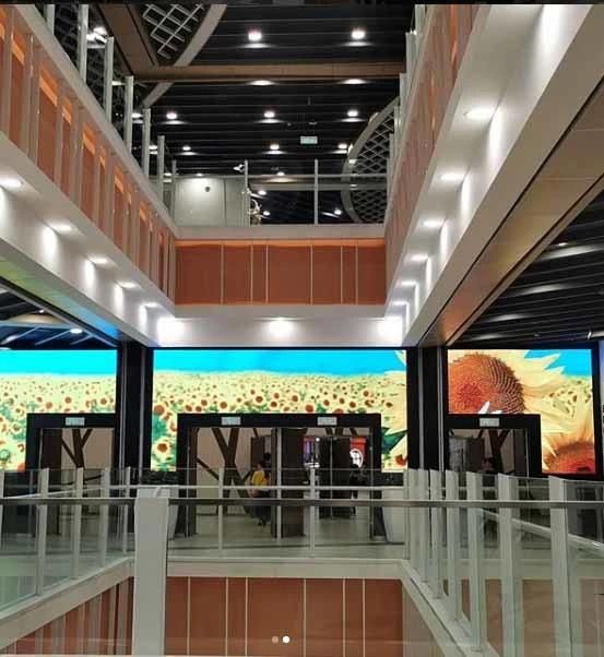 Ultra Slim P3.91 Indoor HD Advertising LED Display Screen for Store Shopping Mall