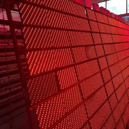 DIP546 P10 Outdoor Single Red/Green/White/Yellow/Blue Color LED Module