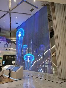 Animation Programmable Flexible Transparent P16-33 LED Curtain Display