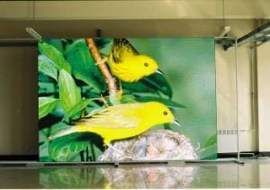 Full Colour Cheap Price HD LED Display
