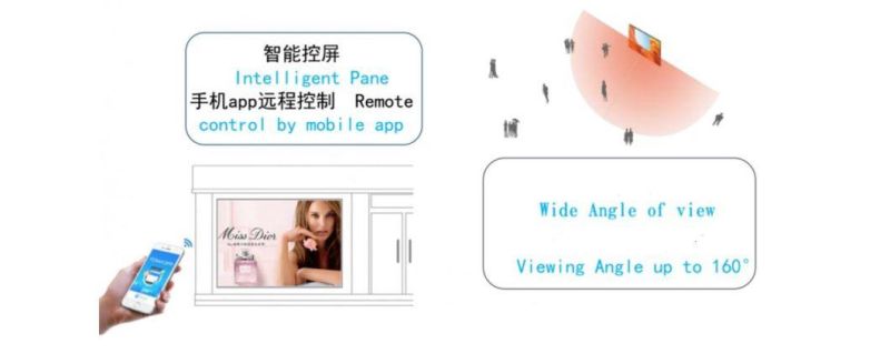 High-Brightness Outdoor P3.91 Transparent Full-Color LED Display