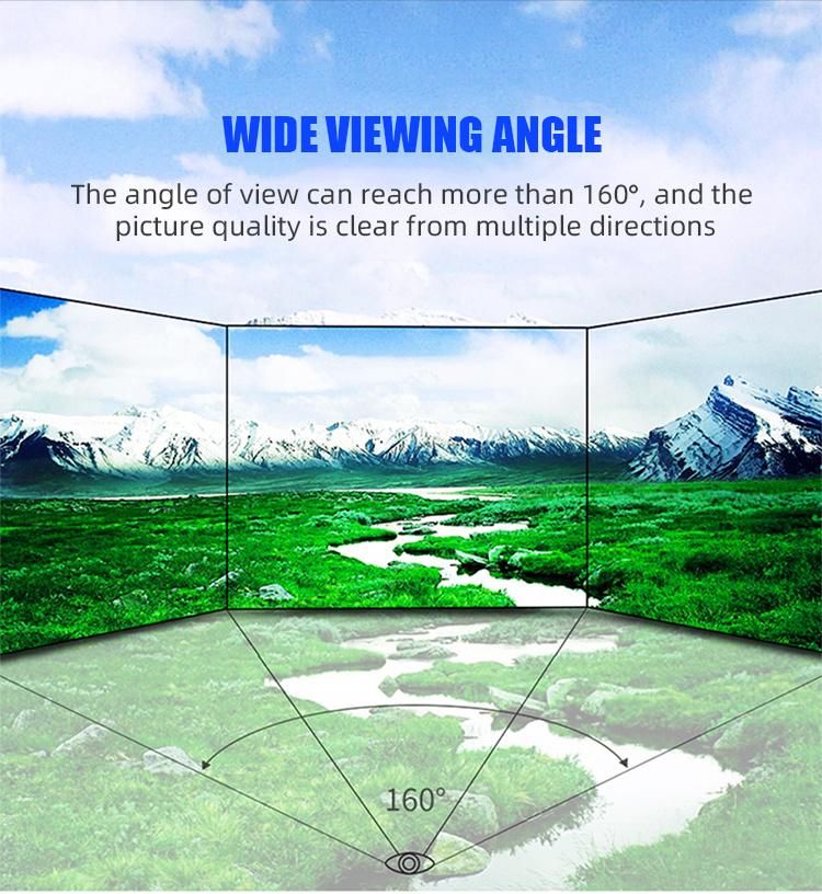 Outdoor Large Naked Eye 3D LED Display Screen